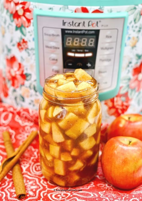 Instant Pot Apple Pie Filling, Homemade Apple Pie Crust, Baking Recipes Apple, Instant Pot Apple Pie, Instant Pot Canning, Best Salad Dressings, Easy Apple Pie Filling, Canning Apple Pie Filling, Apple Pie Filling Recipe