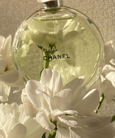 First Aesthetic, Aesthetic Pin, Chanel Aesthetic, Chanel Chance, Sage Green Wallpaper, Rich Clothes, Pink Nature, Best Profile Pictures, Green Photo