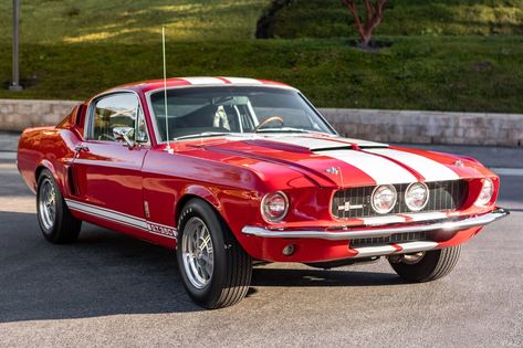 The GT350-Style 1967 Ford Mustang Fastback: A Timeless Icon of Performance and Design Check more at https://classiccartoday.com/0191ed 1967 Ford Mustang Shelby Gt500, 1968 Mustang Gt, 1967 Ford Mustang Fastback, 67 Ford Mustang, 66 Ford Mustang, 1968 Ford Mustang Fastback, Mustang 1969, 1967 Shelby Gt500, Ford Mustang 1969