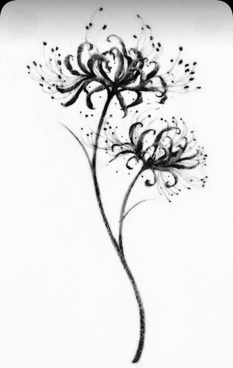 Simple Spider Lily Drawing, Spider Lily Reference, Spiderlili Tattoo Black, Spider Lily Tattoo Black, Simple Lily Tattoo, Spider Lily Drawing, Lilly Tattoo Design, Spider Lily Tattoo, Lillies Tattoo