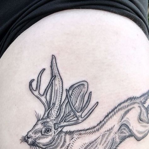 Jackalope Tattoo, Etching Tattoo, Woodcut Tattoo, Engraving Tattoo, Frog Tattoos, Rabbit Tattoos, Female Tattoo Artists, Stomach Tattoos, Line Work Tattoo