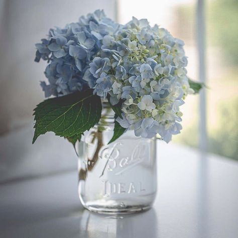 Hydrangea In Mason Jar Centerpieces, Hydrangea Party Theme, Hydrangea Baby Shower Ideas, Blue Hydrangea Centerpiece, Hydrangea Centerpiece Diy, Blue Hydrangea Centerpieces, Mason Jar Flower Arrangements, Blue Flower Arrangements, Event Centerpieces