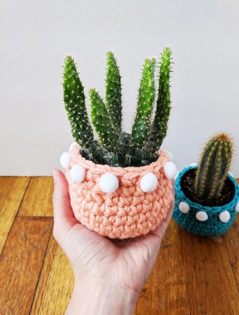 Crochet Planter Cover, Planter Crochet, Crochet Planter, Planter Cover, Succulent Planter Diy, Baby Succulents, Colorful Planters, Plant Pot Covers, Crochet Wall Hangings