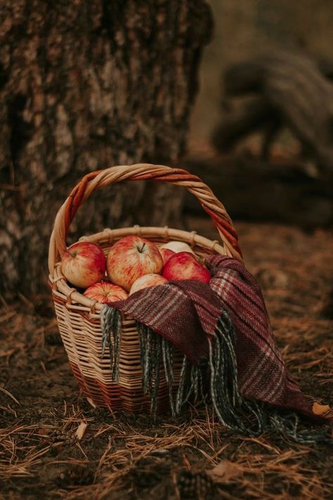 Cozy Activities, Autumn Cottagecore, Friendsgiving Feast, Fall Photography Nature, Apple Picture, Forest Backdrop, Apple Baskets, Apple Decorations, Pumpkin Patches