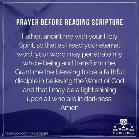 Prayer before reading scripture Pray Before Reading The Bible, Prayer Before Reading The Bible, Bible Verse To Read, Reading Your Bible, St Jerome, Reading The Bible, Fast And Pray, Spiritual Warfare Prayers, Body Of Christ