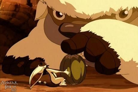 Appa & Momo Oppa Avatar, Avatar The Last Airbender Screencaps, Appa And Momo Avatar, Appa And Momo, Momo Avatar, Appa Avatar, Yip Yip, Avatar The Last Airbender Funny, Avatar Funny