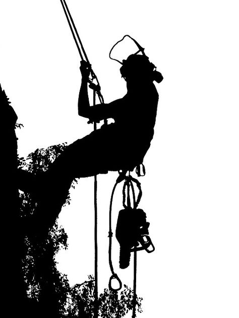 Arborist Logo, Stanley Ideas, Climbing Art, Gardening Services, Tree Surgeons, Animal Drawings Sketches, Garden Services, Artist Sketches, Industrial Design Sketch