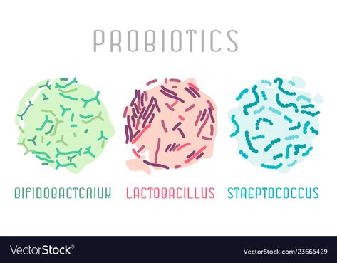 Bacteria Illustration, Lactobacillus Bacteria, Probiotic Yogurt, Medical Stickers, Medical Staff, Microbiology, Healthy Nutrition, Probiotics, Yogurt