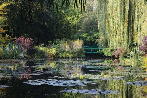 Pond With Bridge, Pond Aesthetic, Monet Wallpaper, Pond Photography, Claude Monet House, Taman Vintage, 숲 사진, Monet Garden, Giverny France