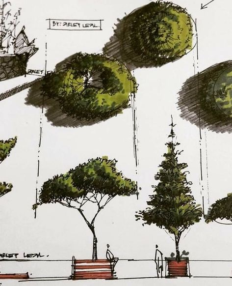 Sketches Of Trees, Landscape Design Drawings, Architecture Drawing Sketchbooks, Landscape Architecture Drawing, Tree Plan, Tree Sketches, Garden Drawing, Landscape Sketch, Architecture Design Sketch