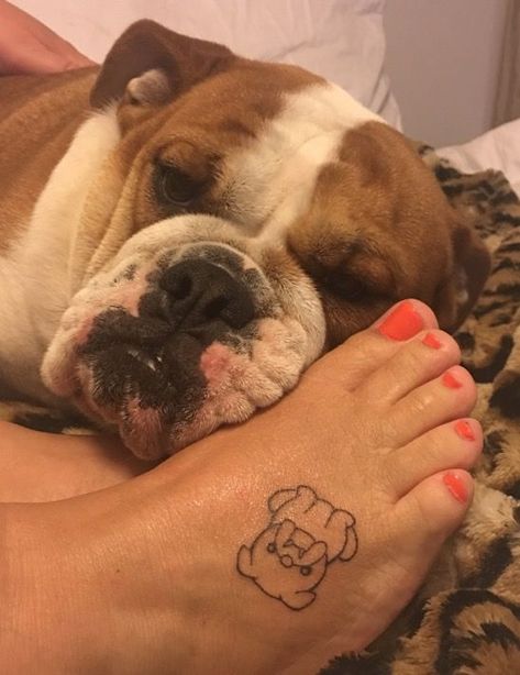 English Bulldog Tattoo Ideas, Bulldog Tattoo Ideas, English Bulldog Tattoo, Hope You're Doing Well, French Bulldog Tattoo, Bulldog Tattoo, Dog Bulldog, Tattoo Dog, Bulldog Pics