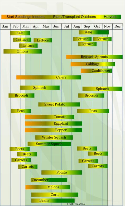 Vegetable Planting Calendar, Vegetable Planting Guide, Seedlings Indoors, When To Plant Vegetables, Planting Calendar, When To Plant, Gardening Zones, Starting Seeds Indoors, Hydroponic Gardening