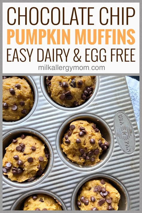 Eggless Pumpkin Muffins, Dairy Free Pumpkin Muffins, Healthy Pumpkin Chocolate Chip Muffins, Egg Free Muffins, Peanut Free Desserts, Gluten Free Dairy Free Dinner, Milk Allergy Mom, Chocolate Pumpkin Muffins, Gf Snacks