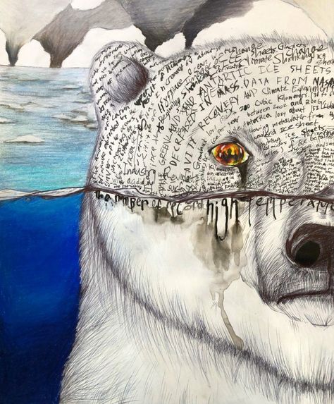 Climate Change and Polar Bears ... Ocean Awareness, Art Writing, Endangered Animals, Gcse Art, A Level Art, Polar Bears, Environmental Art, World Art, Art Plastique