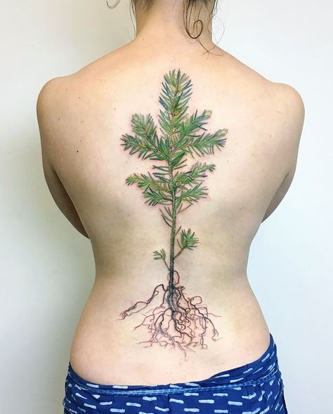 It was a rainy day in Bordeaux when a wonderful English girl Emma arrived from Oxford with a suitcase. Inside, it was filled with small… Blue Spruce Tattoo, Spruce Tattoo, Tree Sapling, English Girl, Best Tattoo Ever, Create A Tattoo, Wildflower Tattoo, English Girls, Watercolor Tattoos