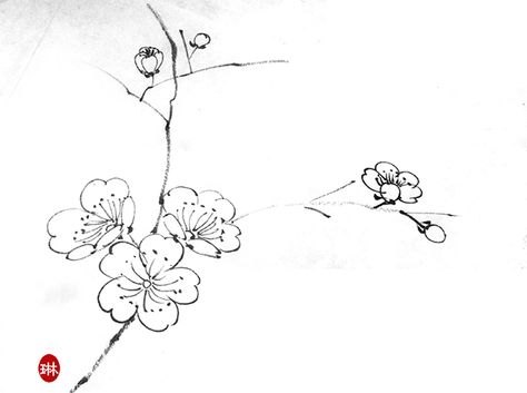 Plum sketch Plum Flower Drawing, Plum Flower Tattoo, Plum Blossom Drawing, Bamboo Drawing, Chinese Drawing, Mouth Drawing, Plum Flowers, Plum Blossom, Japanese Painting