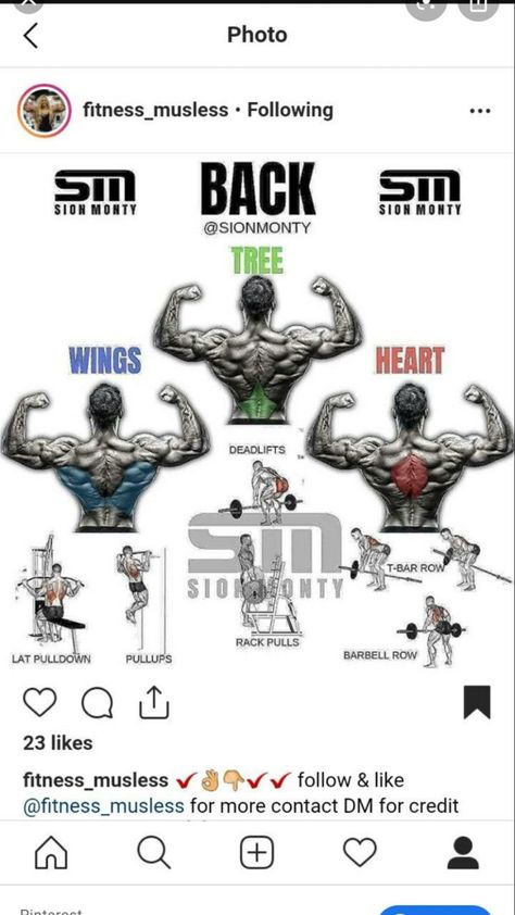 Wing Workout Men, Wings Workout For Men, Back Weight Exercises, Wings Workout, Back Workout Bodybuilding, Back Day Workout, Tree Heart, Utila, Gym Workouts For Men