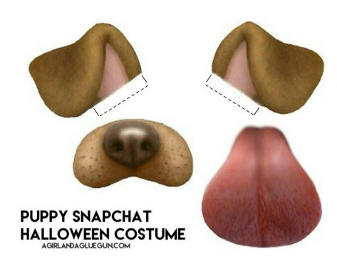 Snapchat filter–puppy costume with free printable! Snapchat Halloween Costume, Snapchat Filter Costume, Snapchat Halloween, Snapchat Party, Filter Snapchat, Snapchat Template, Puppy Costume, Halloween Makeup Diy, Diy Halloween Costumes Easy