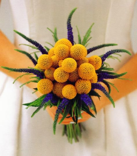 Wedding Bouquets Bride 2023, Unusual Flower Bouquets, Unusual Bridal Bouquet, Unconventional Bouquets, Weird Bridal Bouquet, Craspedia Plant, Veronica Bouquet, Craspedia Wedding Bouquet, Cockscomb Flower Bouquet