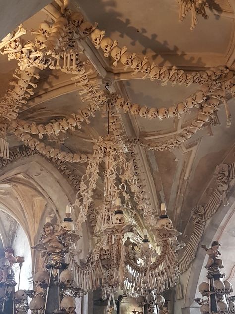 Sedlec Ossuary Sedlec Ossuary, Living In Europe, Environment Design, Eiffel Tower Inside, Eiffel Tower, Tower, Sculpture, Travel, Clothes