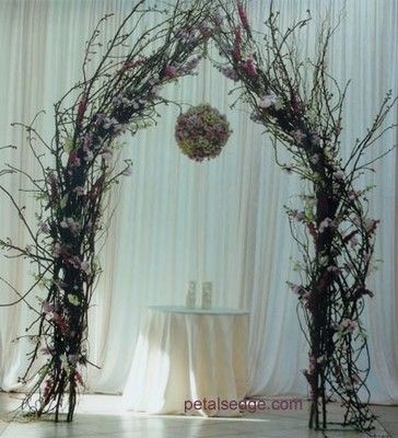 Branch Arch Wedding, Diy Wedding Arch, Fallen Arches, Wedding Arch Rustic, Curly Willow, Trendy Wedding, Rustic Diy, Wedding Arch, Wedding Centerpieces