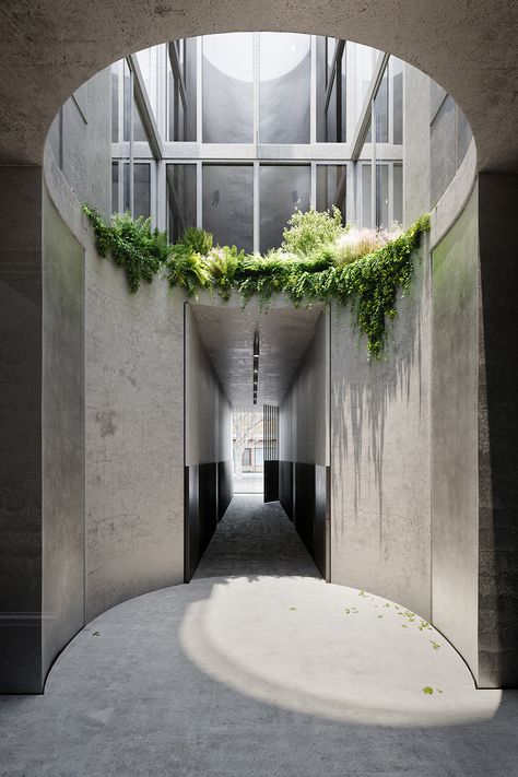 Napier Street Residence building on Behance Edition Office, Melbourne Architecture, Architectural Orders, Romanesque Architecture, Residential Architect, Cultural Architecture, Design Stand, Education Architecture, Salford