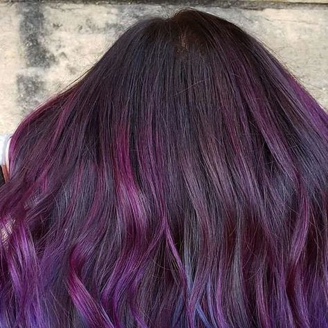 Matrix on Instagram: "Violet dreaming 🔮 with @ashlynnthehairwitch using #SoColorCult shades Royal Purple & Admiral Navy #Matrix" Navy Purple Hair, Navy Purple, February 13, Royal Purple, Purple Hair, Hair Colors, Hair Inspo, Matrix, Violet