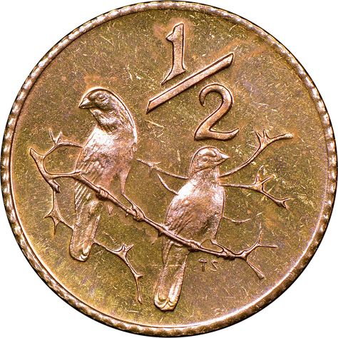 South Africa 1/2 Cent KM 81 Prices & Values | NGC Rare Coins Worth Money South Africa, Old Coins Worth Money In South Africa, Rare 50p Coins Value, Creative Photo Gifts, Old British Coins, Old Coins For Sale, Old Coins Price, Rare Coin Values, Old Silver Coins