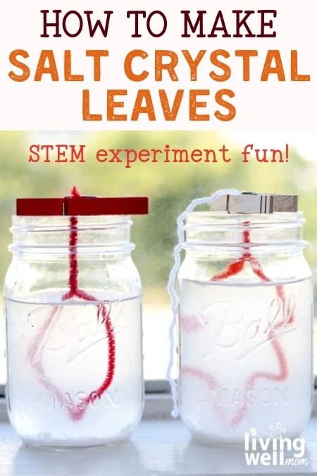 Salt Crystal Leaves Experiment, How To Make Crystals With Salt, Salt Crystal Leaves, Kindergarten Stem Activities, Fall Science Activities, November Themes, Fall Stem Activities, Christmas Knomes, Stem Activities Kindergarten