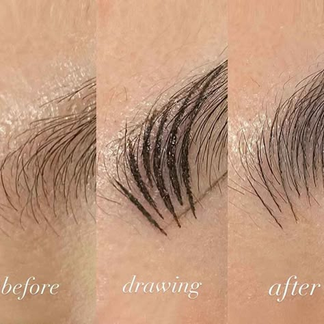 Microblading Before and After Pictures (2023): Best Results Eyebrow Microblading Before After, Microblading Before And After, Microblading Eyebrows Before And After, Before And After, Natural Microblading Eyebrows, Brow Salon Ideas, Microblading Eyebrows Training, Eyebrow Artist, Eyebrow Permanent Makeup