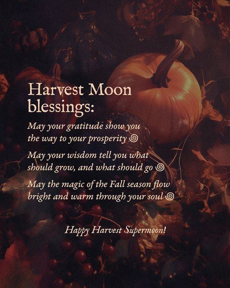 Save the date: September 17-18 (depending on your time zone) 🤎 This is the second supermoon this year, and in Moon magic it means — stronger influence, more energy, deeper feelings… Also, there is a Lunar Eclipse happening during this Full Moon, but it is partial and not very strong. However, this might add a peculiar feel to the whole event: more unexpected thoughts and new emotions and ideas… The Harvest Moon is that special time when brightness and intensity get gradually replaced with so... Harvest Moon Art, Witchcraft Inspiration, Goblin Core, Lunar Eclipse, Super Moon, Time Zone, September 17, Blood Moon, More Energy