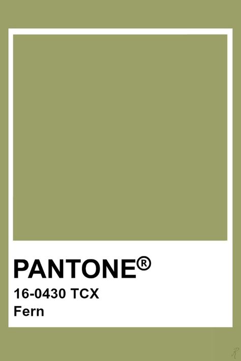 Pantone Fern Fern Color Palette, Fern Green Color Palette, Olive Pantone, Pantone Green Shades, Pantone Shades, Pantone Swatch, Pantone Tcx, Pantone Green, Pantone Color Chart