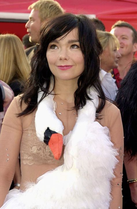 Remember when Björk wore a swan dress at the Oscars? - CNN Style Bjork Swan Dress, Swan Outfit, Swan Dress, Black Halloween Dress, Camp Style, Oscar Dresses, Outfit Red, Crazy Outfits, Celebrity Outfits