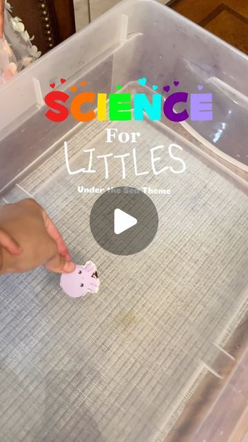 Squid Arts And Crafts, Under The Sea Theme Activities For Kids, Octopus Science Experiment, Octopus Activities For Preschool, Water Preschool Activities, Octopus Preschool, Under The Sea Crafts For Preschoolers, Octopus Crafts For Kids, Octopus Activity