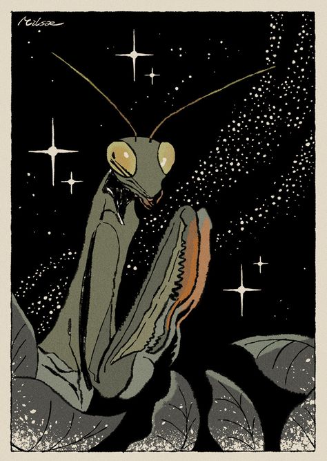 Praying Mantis, Stars