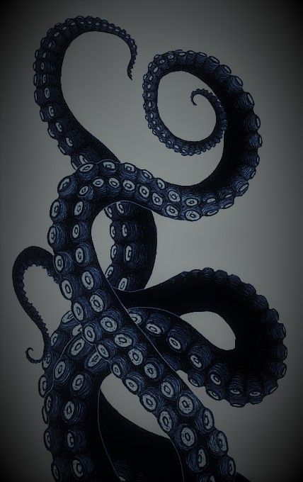 Tentacle Wallpaper Phone, Alien With Tentacles, Tenticals Drawing Reference, Tentacles Reference, Octopus Tentacle Tattoo, Tenticals Reference, Squid Aesthetic, Kraken Aesthetic, Octopus Tentacles Drawing