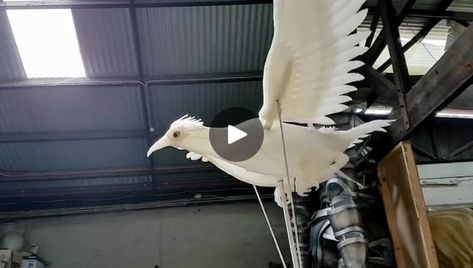 Here is one of the houbara bird puppets in action before we gave her a paint job 🙌  #puppet #birds #houbara #artoftheday #puppetrymelbourne #handsculpted... | By A Blanck CanvasFacebook Moana Jr, Bird Puppet, Hawk Eagle, Puppets Diy, Bird Wings, Birds Flying, Baby Party, Paint Job, Moana