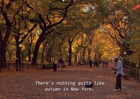 Fall 2024 Vibes, Whimsy Fall Aesthetic, City Autumn Aesthetic, Fall In The City Aesthetic, Halloween In Nyc Aesthetic, Fall In New York City Aesthetic, 2010s Autumn Aesthetic, Nyc In Autumn, September In New York