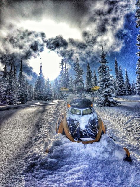 Skidoo Aesthetic, Snowmobile Videos, Snowmobile Photography, Snowmobile Girl, Ski Doo Snowmobile, Ski Doo, Snow Machine, Vintage Sled, Backcountry Skiing