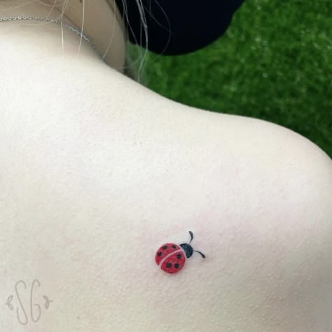 Heart Shaped Ladybug Tattoo, Lady Bug Tattoos Black, Ladybug Tattoo Behind The Ear, Ladybird Tattoo Black And White, Minimalist Ladybug Tattoo Simple, Cartoon Ladybug Tattoo, Lady Bug Fine Line Tattoos, Ladybug With Hearts Tattoo, Ladybird Doodle