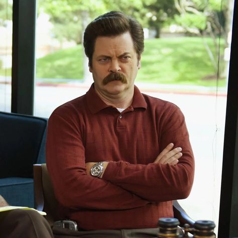 Ron Swanson Costume Ron Parks And Rec, Ron Swanson Costume, Parks And Rec Ron, Park And Recreation, Deadpan Humor, Parks And Recs, Fake Mustaches, Nick Offerman, Parks And Rec