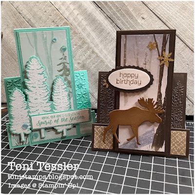 Center Step Cards, Side Step Card, One Horse Open Sleigh, Stepper Cards, Bridge Card, Monthly Crafts, Step Cards, Easel Cards, White Powder