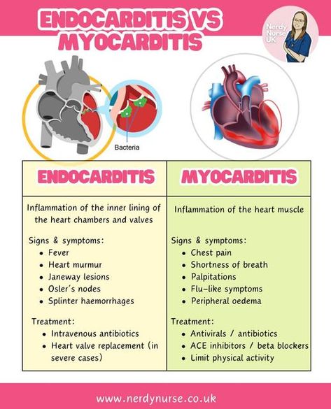 Lauren | nursing education made simple on Instagram: "Endocarditis:
Endocarditis is an infection of the inner lining of the heart chambers and valves (the endocardium). 
Pathophysiology: Microorganisms enter the bloodstream, adhere to the heart valves or endocardium, and form vegetations (clusters of microorganisms and inflammatory cells).

Myocarditis:
Myocarditis is inflammation of the heart muscle (myocardium).
Pathophysiology: Inflammatory cells infiltrate the heart muscle, leading to myocardial cell damage and necrosis. This can impair the heart's ability to pump effectively.

You can learn more in our nursing study guide
Stay curious, keep learning, you’ve got this

#nursingclinicals #pathophysiologyclass #pathophysiologynotes #nursingstudentsofinstagram #nursingstudentnotes #student Infection And Inflammation Nursing, Heart Chambers, Pathophysiology Nursing, Nerdy Nurse, Nurse Study, Nursing Study Guide, Heart Valves, Nurse Study Notes, Stay Curious