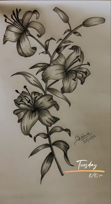 Flower Sketches Pencil Shading, Flower Pencil Shading, Flower Shading Drawing, Shading Drawings, Pencil Drawings Of Flowers, Shading Drawing, Diy Hair Accessories Ribbon, Flower Drawing Design, Pencil Shading