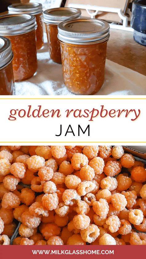 Golden Raspberry Jam Golden Raspberries, Yellow Raspberries, Raspberry Jam Recipe, Water Bath Canning, Raspberry Recipes, Home Grown Vegetables, Jam Recipe, Homemade Chili, Glass Home