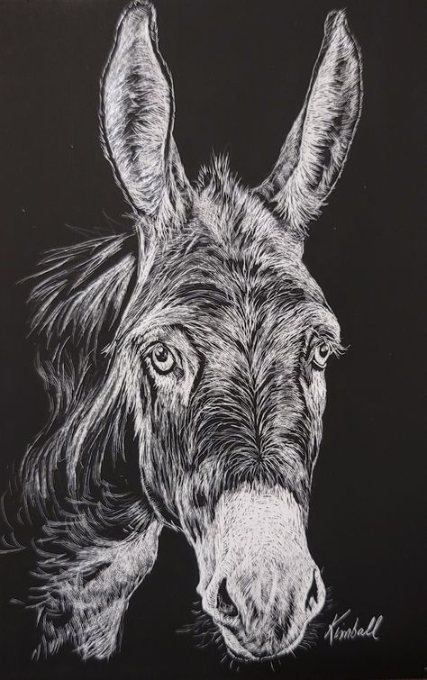 Scratch board art by B. Kimball Scratch Art Ideas Easy, Scratch Board Art, Scratchboard Animals, Horse Paintings Acrylic, Pig Sketch, Barbie Painting, Scratchboard Drawings, Cow Drawing, Scratchboard Art