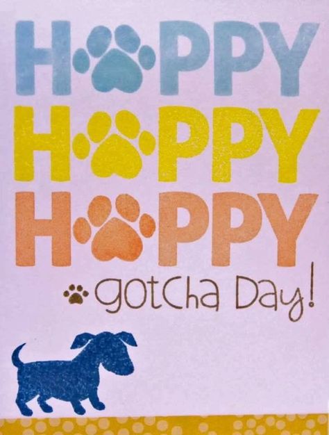 Happy Gotcha Day Dogs, Gotcha Day Quotes, Adoption Anniversary, Happy Gotcha Day, Beach Dogs, Puppy Quotes, Puppy Room, Dog Quotes Love, Puppy Day