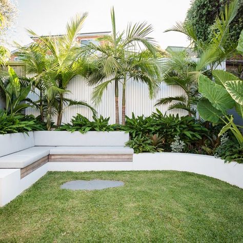 South Coogee Project | Stone Lotus Living Pool, Tropical Garden Design, Courtyard Gardens Design, Pool Landscape Design, Backyard Renovations, Garden Idea, Backyard Pool Landscaping, Casa Exterior, Backyard Inspiration