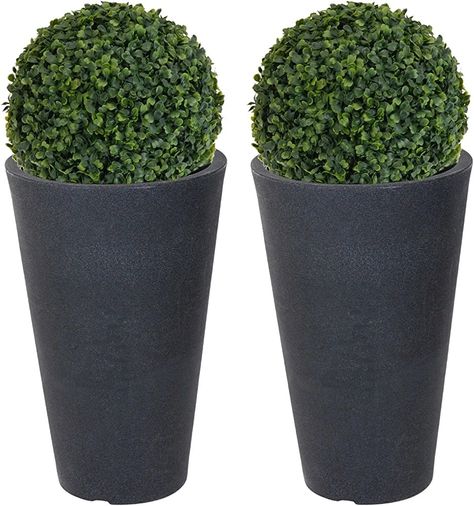 https://www.amazon.co.uk/URBN-Living-Round-Charcoal-Artificial/dp/B0759STSRD/ref=mp_s_a_1_1?crid=VP44LPP6PICW&keywords=urbnliving+2x+round+charcoal+grey+plant+pot+with+artificial+grass&qid=1686602589&sprefix=urbnliving+2x+%2Caps%2C152&sr=8-1 Fig Tree Plant, Pot Arrangements, Wisteria Plant, Dracaena Plant, Boxwood Topiary, Aloe Plant, Artificial Boxwood, Palm Plant, Topiary Trees