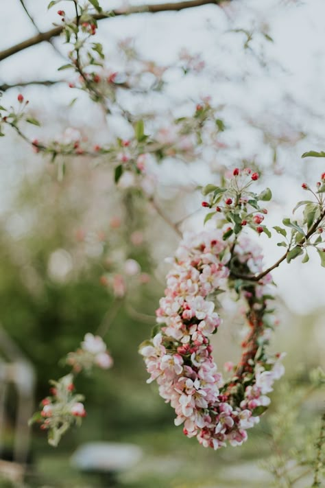 Flower Aesthetics, Magnolia Blossom, Spring Mood, Spring Aesthetic, Spring Vibes, Beautiful Picture, Spring Blossom, Spring Inspiration, Spring Flower